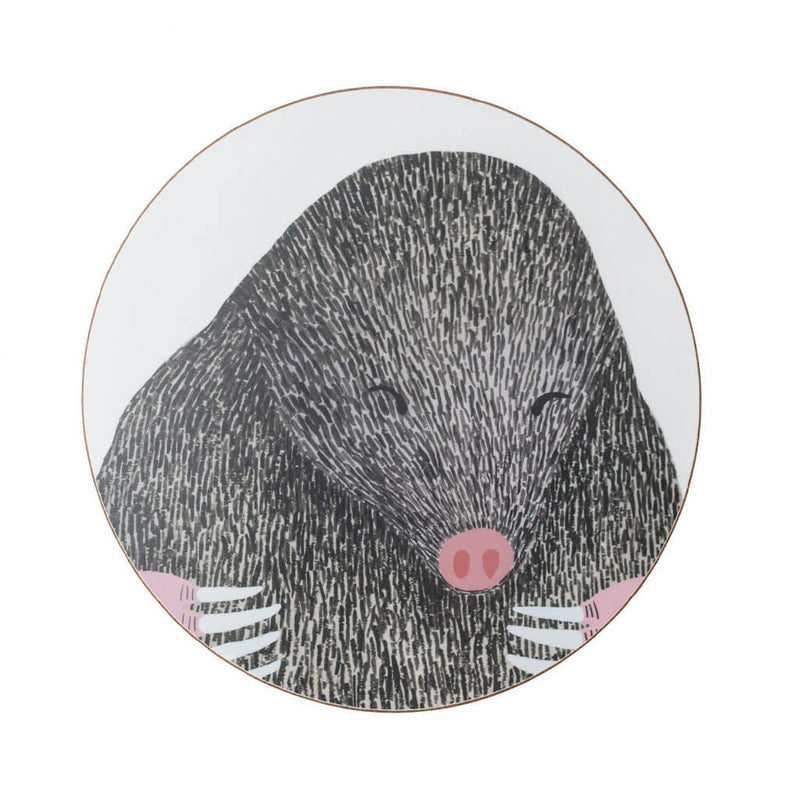 Set of Four Nocturnal Animal Coasters