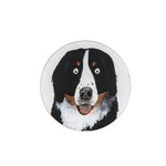 Rodger The Dog Coaster